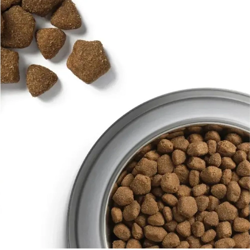 Dog Chow ADULT 1+ Lamb сухий корм для собак 14 кг - з ягням (7613034487636)  - фото 2
