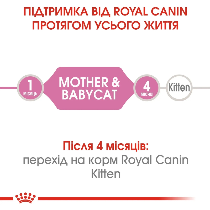 Royal Canin Babycat Instinctive Cans ВОЛОГИЙ КОРМ Супер-преміум коти (у період лактації та новонароджених кошенят) 195 г  - фото 2