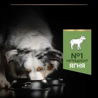 Purina Pro Plan Medium Adult Sensitive Digestion сухой корм для собак средних пород с чувствительным пищеварением 14 кг - с ягненком (7613035214774)  - фото 3