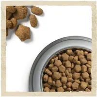 Dog Chow Sensetive ADULT 1+ сухий корм для собак з чутливим травленням 2.5 кг - з лососем (7613034488268)  - фото 2