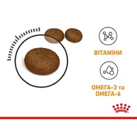 Royal Canin Hair&Skin Care сухий корм для котів для здоров'я шкіри та шерсті 400 г (3182550721721)  - фото 1