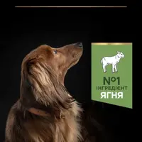 Purina Pro Plan Small & MINI ADULT Sensitive Digestion сухий корм для собак дрібних порід з чутливим травленням 700 г - з ягням (7613036611299)  - фото 2