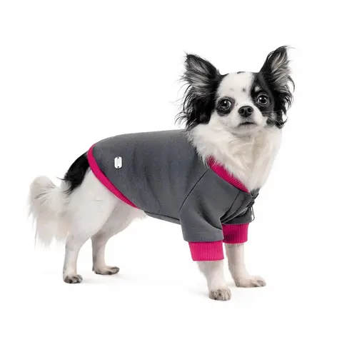 Pet Fashion Bim толстовка для собак S - сіра (4823082430307)