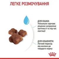 Royal Canin Mother&BabyCat сухий корм для вагітних кішок та кошенят 400 г (3182550707305)  - фото 4