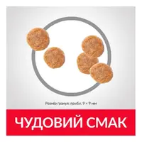 Hill's Science Plan Feline Adult Sterilised СУХИЙ КОРМ Супер-преміум коти (з куркою) 300 г  - фото 1