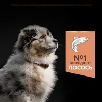 Purina Pro Plan Medium Puppy Sensitive Skin СУХИЙ КОРМ Супер-преміум цуценята середніх порід (з лососем) 12 кг  - фото 4