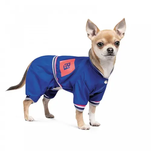 Pet Fashion Silver дощовик для собак L - синій (4823082429950)