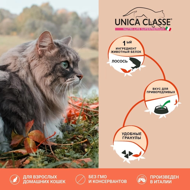 Gheda Unica Classe Adult Gourmet Exigent Dry сухий корм для котів 1.5 кг - з лососем (8001541007178)  - фото 2