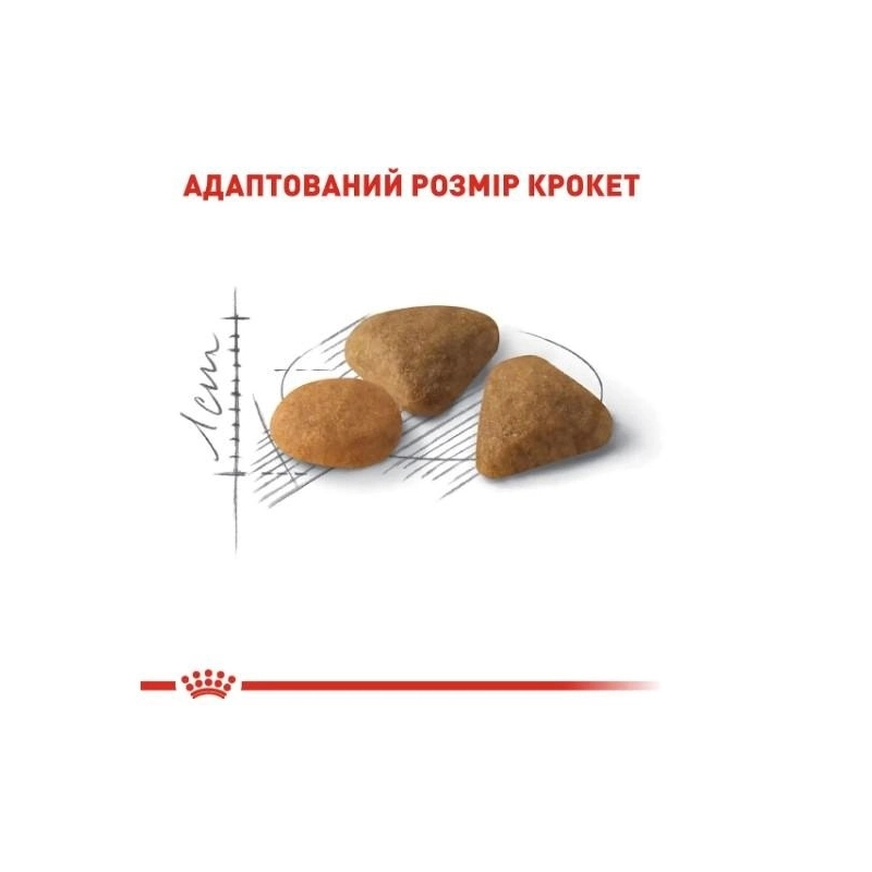 Royal Canin Exigent Protein СУХИЙ КОРМ Супер-преміум коти (вибагливі) 2 кг  - фото 1