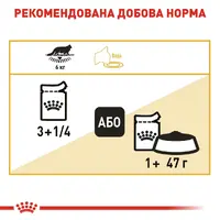 Royal Canin Mainecoon Adult влажный корм для кошек 85 г (9003579001219)  - фото 4