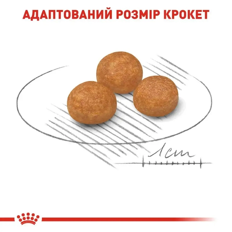 Royal Canin X-SMALL ADULT сухий корм для дорослих собак мініатюрних порід 0.5 кг(3182550793704)  - фото 4