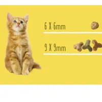 Friskies Junior СУХИЙ КОРМ Економ кошенята (з куркою) 300 г  - фото 1