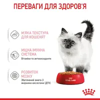 Royal Canin Kitten Instinctive in Gravy ВОЛОГИЙ КОРМ Супер-преміум кошенята (з м'ясом) 85 г  - фото 1