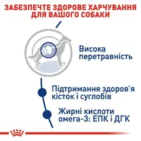 Royal Canin MAXI ADULT L сухий корм для дорослих собак великих порід 15 кг(3182550401937)  - фото 1