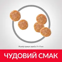 Hill's SP Feline Adult сухой корм для кошек 300 г - с ягненком (052742022925)  - фото 1