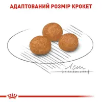 Royal Canin X-SMALL ADULT сухий корм для дорослих собак мініатюрних порід 0.5 кг(3182550793704)  - фото 4