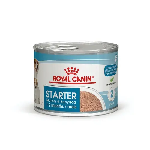 Royal Canin Starter Mousse CANS ВОЛОГИЙ КОРМ Супер-преміум собаки (з м'ясом) 195 г