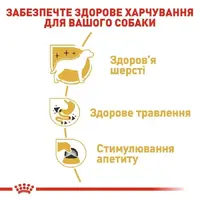 Royal Canin Chihuahua Adult влажный корм для собак 85 г (9003579001516)  - фото 3