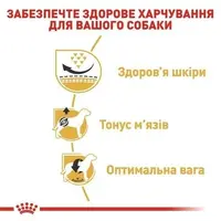 Royal Canin PUG ADULT сухий корм для дорослих собак породи мопс 1.5 кг(3182550752404)  - фото 4