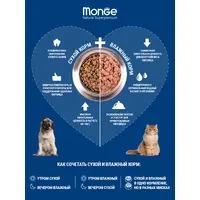 Monge Urinary Chicken Natural сухий корм для котів для профілактики сечокам'яної хвороби 400 г - з куркою (8009470011907)  - фото 6