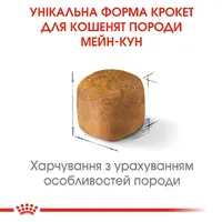 Royal Canin Maine coon Kitten сухий корм для кошенят 400 г (3182550770941)  - фото 1