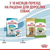Royal Canin X-SMALL Puppy 2-10 Months With Poultry сухий корм для цуценят мініатюрних порід 0.5 кг - з домашньою птицею(3182550793568)  - фото 4
