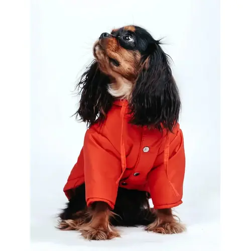 Dogs Bomba Denim парка для собак 7 - коралова (2000000052267)