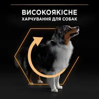 Purina Pro Plan MEDIUM ADULT СУХИЙ КОРМ Супер-преміум собаки середніх порід (з куркою) 14 кг  - фото 2