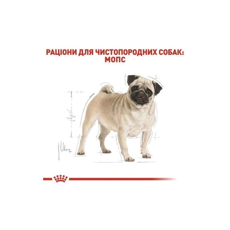 Royal Canin PUG ADULT сухий корм для дорослих собак породи мопс 1.5 кг(3182550752404)  - фото 1