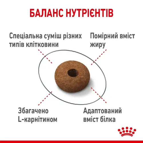 Royal Canin Appetite Control СУХИЙ КОРМ Супер-преміум коти (для контролю апетиту) 2 кг