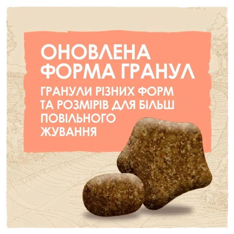 Dog Chow Active ADULT 1+ Chiken сухой корм для собак с чувствительным пищеварением 14 кг - с курицей (7613034487933)  - фото 3