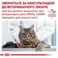 Royal Canin Neutered Maintenance Cat влажный корм для стерилизованных кошек 85 г (9003579027615)  - фото 2