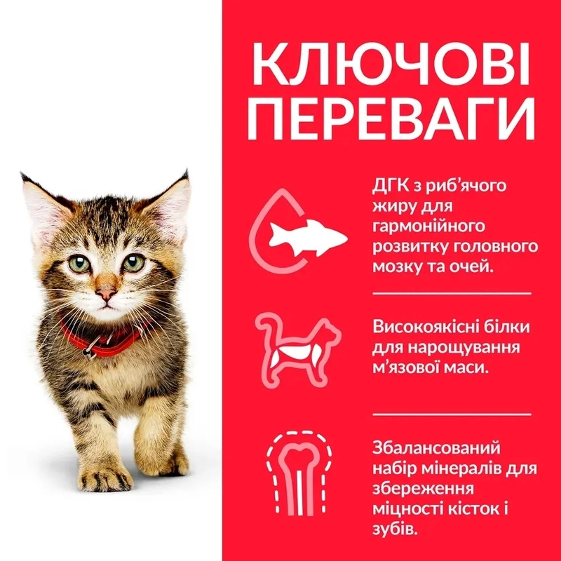 Hill's SP Kitten сухой корм для котят 300 г - с курицей (052742022741)  - фото 2