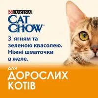 Cat Chow Adult влажный корм для кошек 85 г - с ягненком и зеленой фасолью в желе (8445290476524)  - фото 4