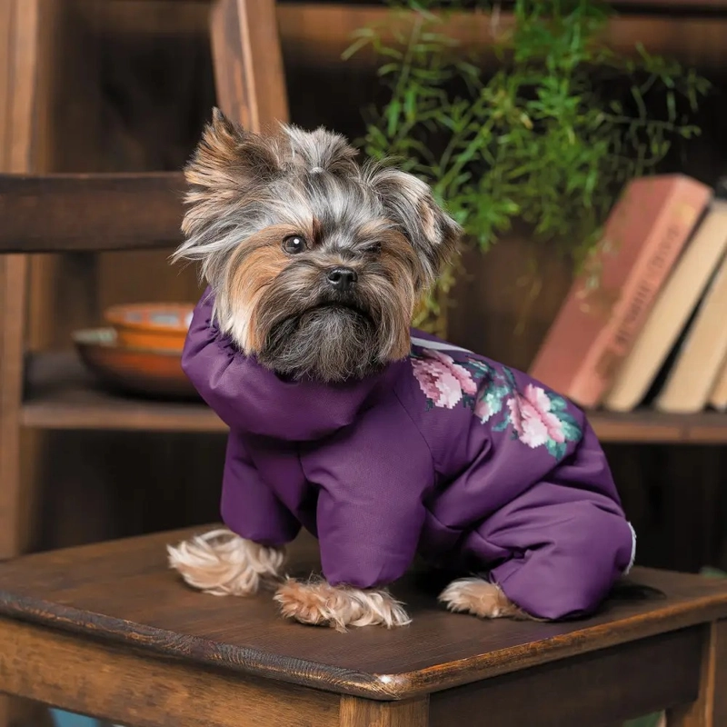Pet Fashion Lola костюм для собак S-2 - бузковий (4823082432448)  - фото 4
