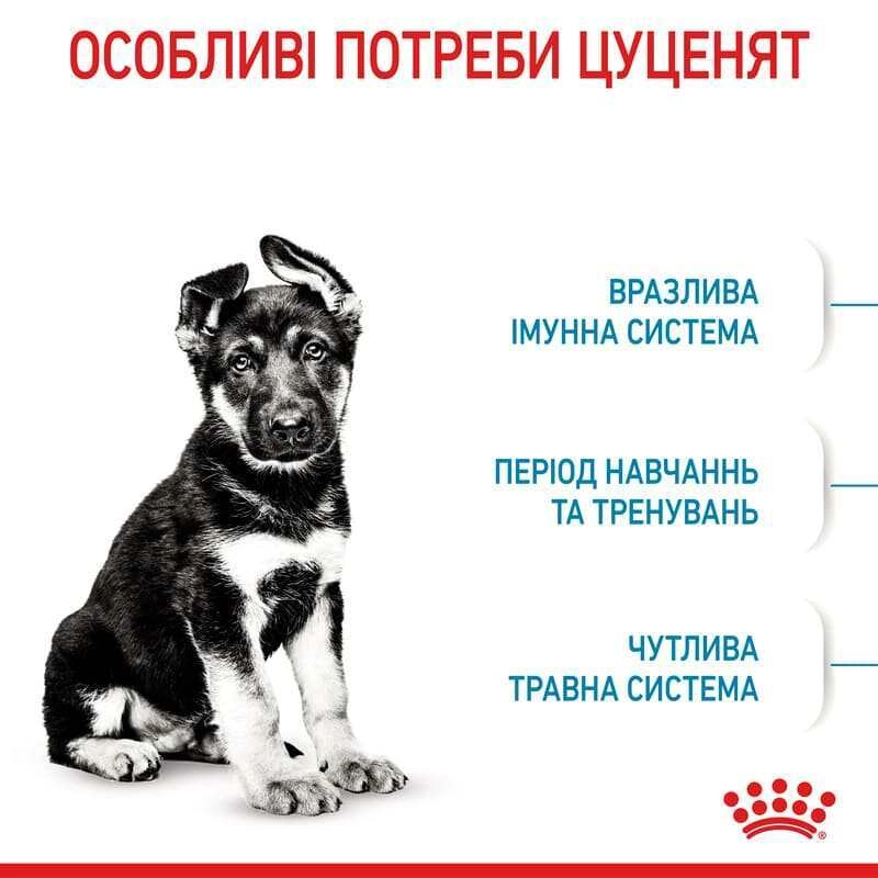 Royal Canin Maxi Puppy СУХИЙ КОРМ Супер-преміум цуценята великих порід (з м'ясом) 4 кг  - фото 9