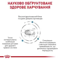 Royal Canin VETERINARY Hypoallergenic Puppy СУХИЙ КОРМ-ДІЄТА Холістік цуценята (з м'ясом) 1.5 кг  - фото 2