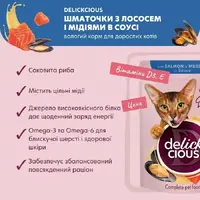 Delickcious Dinner ВОЛОГИЙ КОРМ Premium коти (суп з лососем та мідіею) 85 г  - фото 1