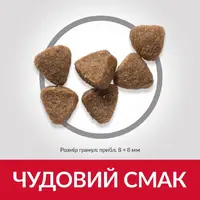 Hill's Science Plan Feline Kitten Chicken сухой корм для котят, беременных и кормящих кошек 1.5 кг - с курицей (52742059631)  - фото 1