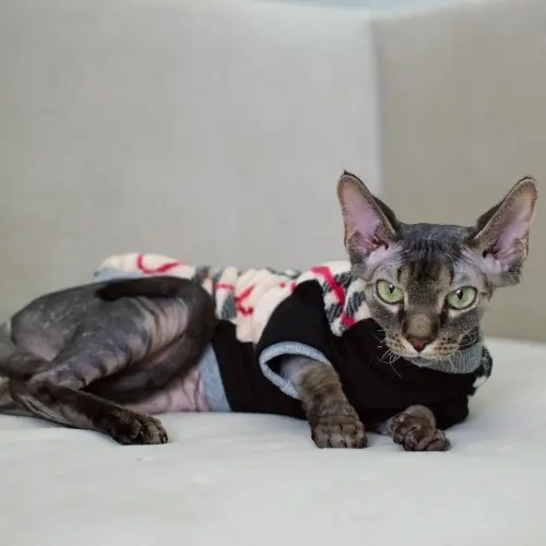 Style Pets Barb тепла кофта для котів M+ (3000000003312)