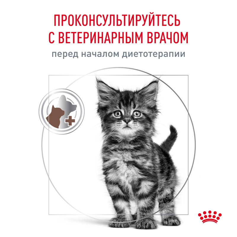 Royal Canin Gastrointestinal Kitten СУХИЙ КОРМ Холістік кошенята (при розладах травлення) 400 г  - фото 6