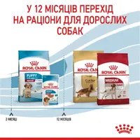 Royal Canin Medium Puppy сухий корм для цуценят середніх порід 4 кг (3182550708180)  - фото 2