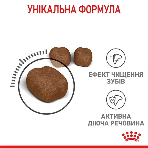 Royal Canin Dental Care сухий корм для котів для запобігання зубному нальоту 400 г (3182550717175)
