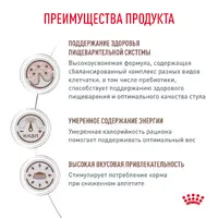 Royal Canin Gastrointestinal Moderate Calorie сухий корм для котів 400 г (3182550771283)  - фото 3
