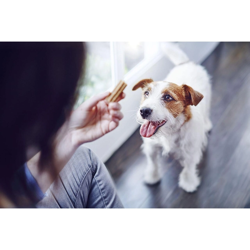Purina DentaLife Small ЛАСОЩІ Premium собаки (для здоров'я рота) 115 г  - фото 1