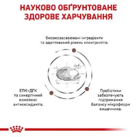 Royal Canin Gastrointestinal Fibre Response сухий корм для котів при розладах травлення 400 г (3182550771320)  - фото 2