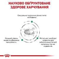 Royal Canin Satiety Weight Management СУХИЙ КОРМ Холістік коти (з надмірною вагою) 400 г  - фото 1
