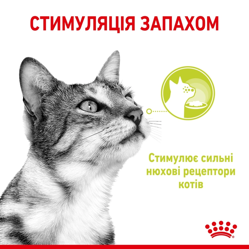 Royal Canin Sensory Smell in Jelly ВОЛОГИЙ КОРМ Супер-преміум коти (cтимулює нюхові рецептори) 85 г  - фото 1