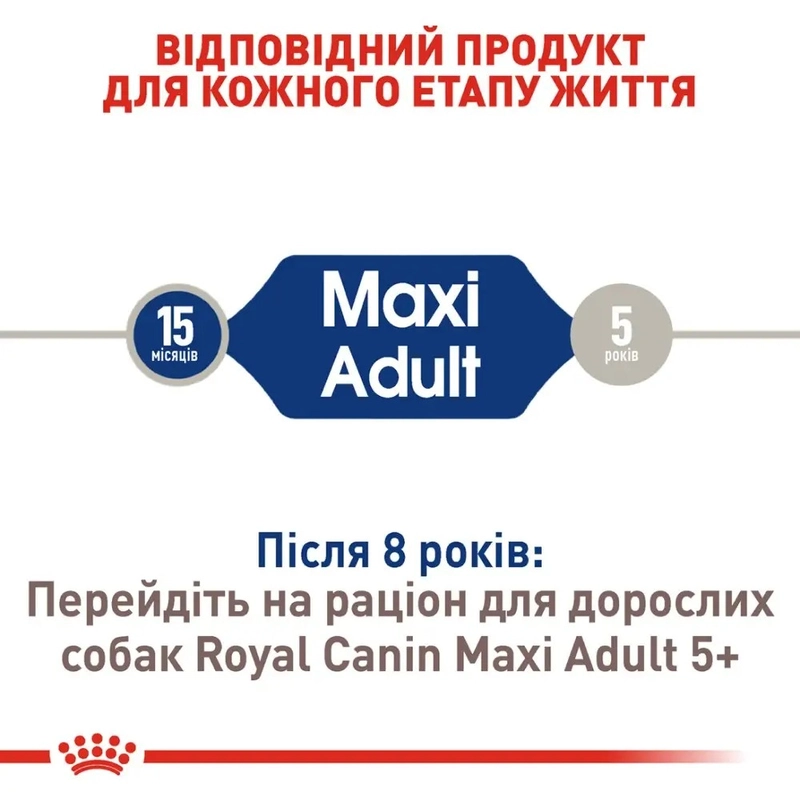 Royal Canin MAXI ADULT L сухий корм для дорослих собак великих порід 15 кг(3182550401937)  - фото 2