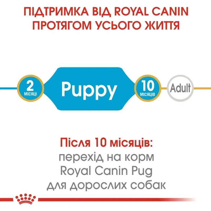 Royal Canin PUG Puppy СУХИЙ КОРМ Супер-преміум цуценята породи мопс (з м'ясом) 1.5 кг  - фото 2
